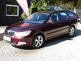 Škoda Octavia (2010) 1.6 TDI 77kW  DSG - náhled 1