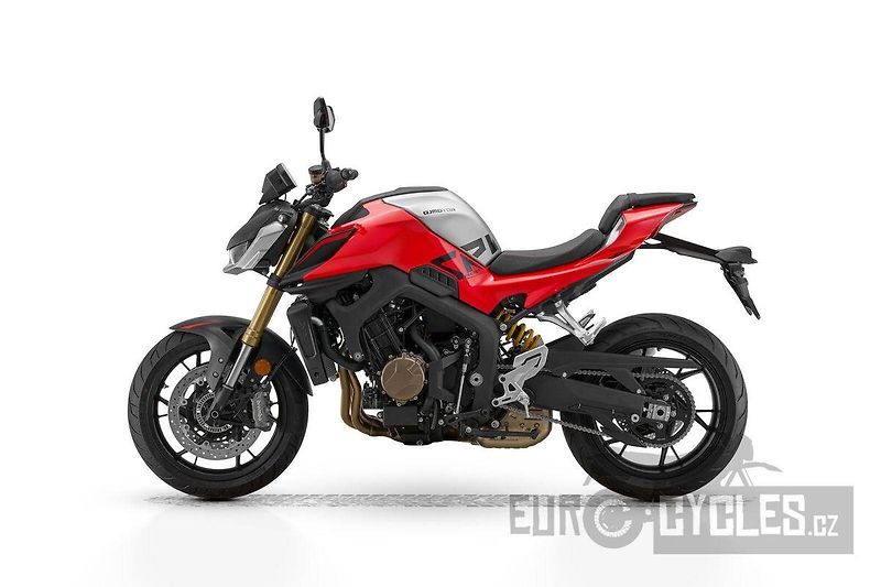 QJ Motor (2026) SRK 800 - fotka 15 z 20
