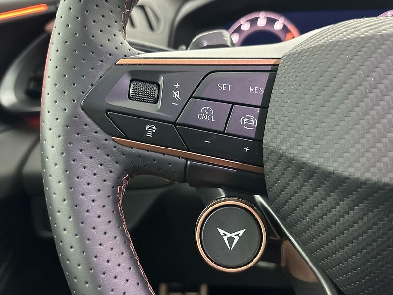 Cupra Terramar 4WD DSG - fotka 23 z 29