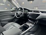 Audi e-tron (2020) Quattro 230kW Advanced, PANO - náhled 15