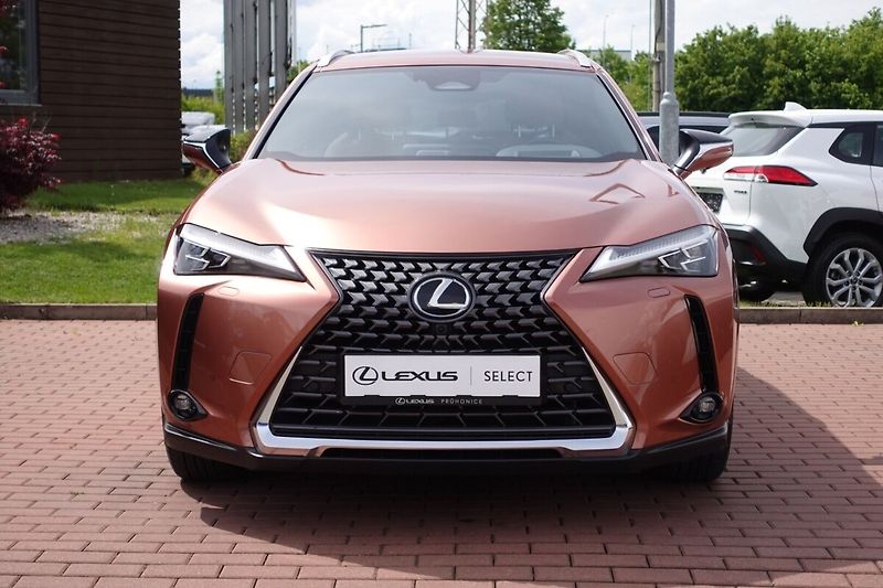 Lexus UX 300h UX300h Luxury 4x4 - fotka 3 z 38