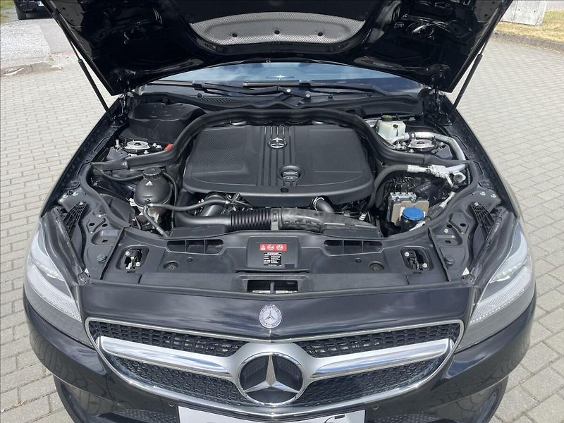Mercedes-Benz CLS 2,2 250d 4-Matic 150kw GPS LED - fotka 22 z 34