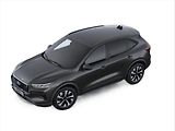 Ford Kuga (2026) 2,5 Duratec HEV 132 kW/183 kon - náhled 2