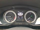 Škoda Superb (2015) Laurin&Klement 2.0 TDI 4x4 - náhled 11