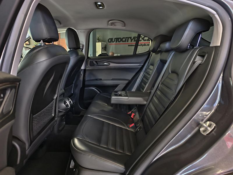 Alfa Romeo Stelvio 2.0 T 206kW Q4 FIRST EDITION - fotka 10 z 24