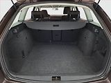 Škoda Octavia (2014) 1.6 TDI - náhled 14