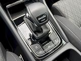 Škoda Karoq (2025) 2.0 TDI 110kW 4x4 DSG Top Sele - náhled 27