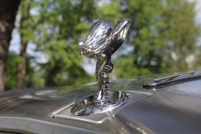 Luxusní vozy se v sobotu 4. května sjely na zámek do Lnář. Převládala auta značky Rolls-Royce.