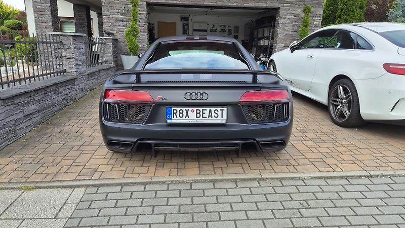 Audi R8 (2018) R8 V10 RWS 1 s 999 ks - fotka 11 z 16