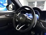 Alfa Romeo Stelvio (2024) 2.0T 280k AT8 ZF Q4 4x4 Compet - náhled 19