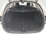 Kia Ceed (2014) 1.6 CRDi, Navi, Tempomat - náhled 13