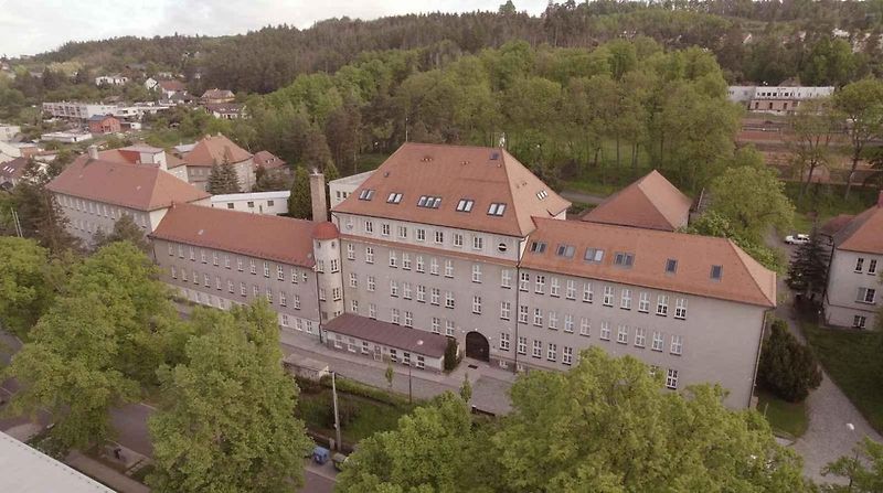 Renovace zeleného krasavce se během let vyšplhala na více než 500 000 korun.
