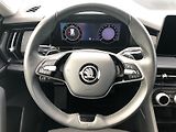 Škoda Kodiaq 2.0 TDi DSG 7st. SELECTION - náhled 18