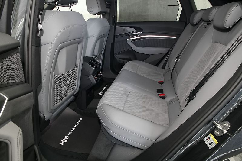 Audi e-tron 55 300kW Matrix Kessy Tažné - fotka 15 z 46