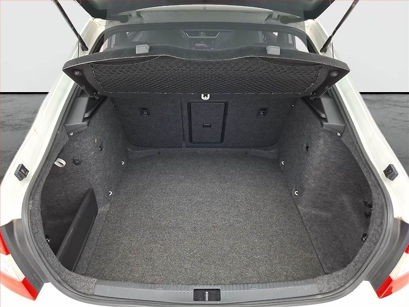 Škoda Octavia (2014) RS 2.0 TDI, Automat, Navi - fotka 14 z 16