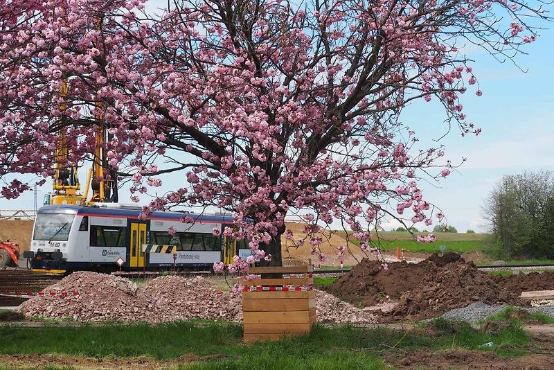 Snímky z výstavby dálnice D35 Džbánov - Litomyšl, duben 2025