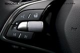 Škoda Octavia (2024) Style 2,0 TDI 110kW DSG - náhled 12