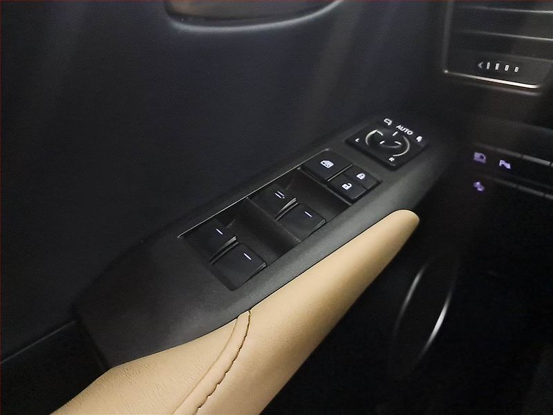 Lexus NX 300h (2016) 300h - fotka 16 z 17