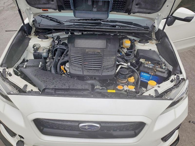 Subaru WRX STI (2016) LIMITED  - fotka 11 z 11