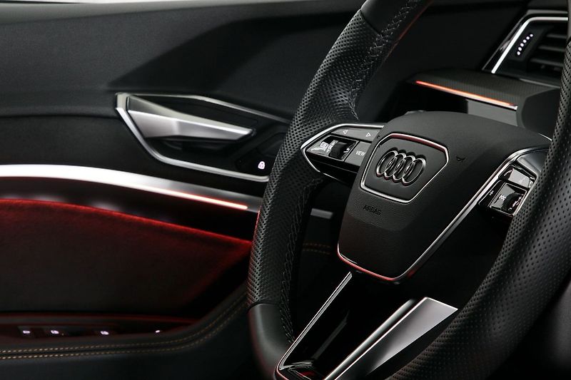 Audi e-tron 55 300kW S-line BlackEdi NV TZ - fotka 22 z 44