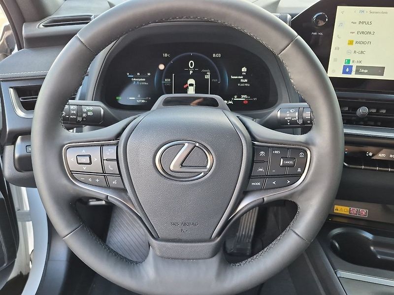 Lexus UX 300h h F SPORT Design Bi-Tone - fotka 13 z 25