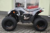 Linhai Ostatní (2026) ATV 110 2X4 EFI CE  - náhled 6
