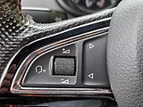 Škoda Octavia TDi RS,CEBIA *SERV.KNÍŽKA*  - náhled 45