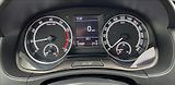 Škoda Fabia 1,0 TSi,Po servisu,1.maj.,ČR - náhled 13