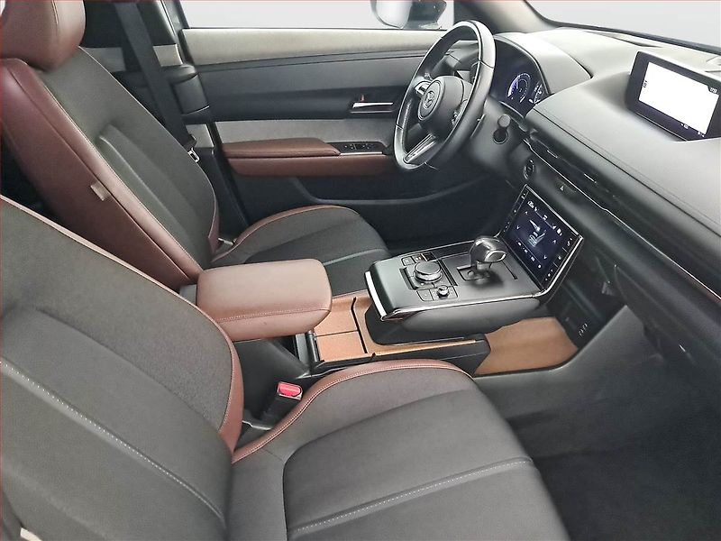 Mazda MX-30 (2020) e-Skyactiv, Automat, Kůže - fotka 9 z 18