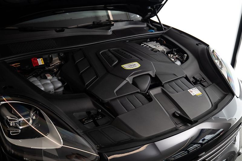 Porsche Cayenne E-Hybrid Platinum Edition/Bose - fotka 25 z 28