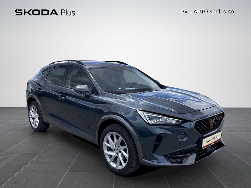 Cupra Formentor (2024) 2.0 TDI 110 kW DSG 4Drive Basi - fotka 26 z 35