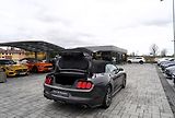 Ford Mustang GT 5.0 Premium /AT/kůže/440 PS - náhled 19