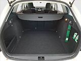 Škoda Octavia (2019) Ambition 1.6 TDI, ČR,1.maj - náhled 14