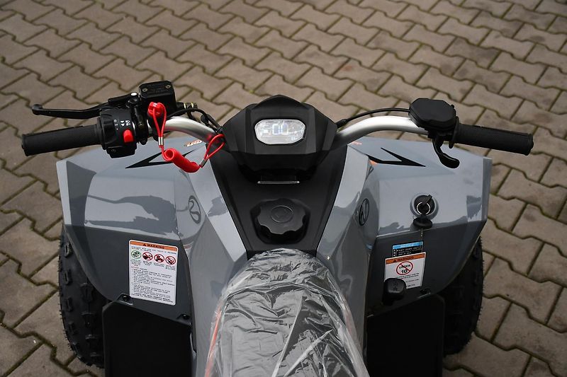 Linhai Ostatní (2026) ATV 110 2X4 EFI CE  - fotka 12 z 14