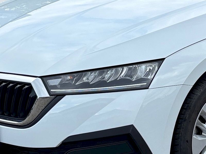 Škoda Octavia (2024) Combi 2.0 TDI Ambition - fotka 8 z 30