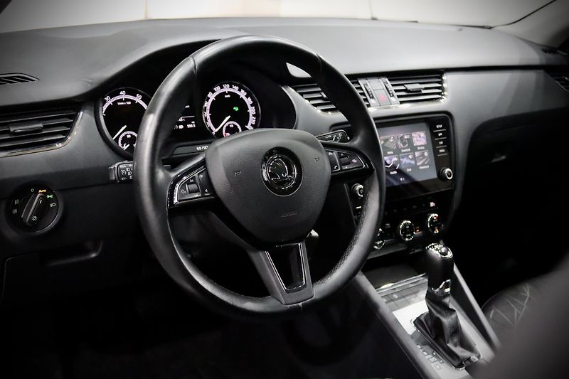 Škoda Octavia 3 FL Combi 1.8 TSI 132 kW DSG - fotka 12 z 38