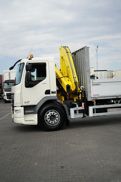 DAF LF (2015) / 250 / SKRZYNIOWY + HDS / HYV - fotka 35 z 52