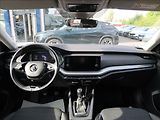 Škoda Octavia 2,0 TDi,110kW,1majČR,Serv.,DPH - náhled 17