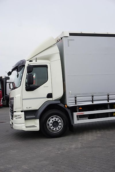 DAF LF (2019) 290 / E 6 / FIRANKA + WINDA /  - fotka 25 z 44