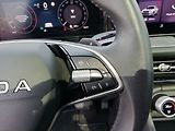 Škoda Kodiaq Exclusive Selection  2,0 TDI - náhled 9