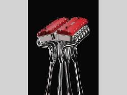 Kniha Il Fascino Ferrari.