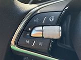 Škoda Octavia (2025) Combi 2.0 TDI DSG Top Selectio - náhled 19