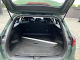 Kia Ceed (2026) - náhled 12