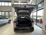 Toyota RAV4 2.5 4x4 Plug-In Selection - náhled 13
