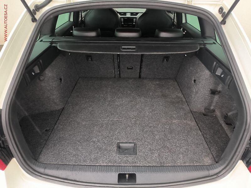 Škoda Octavia (2014) 2.0 TDi, Bixen, navi, park - fotka 7 z 21