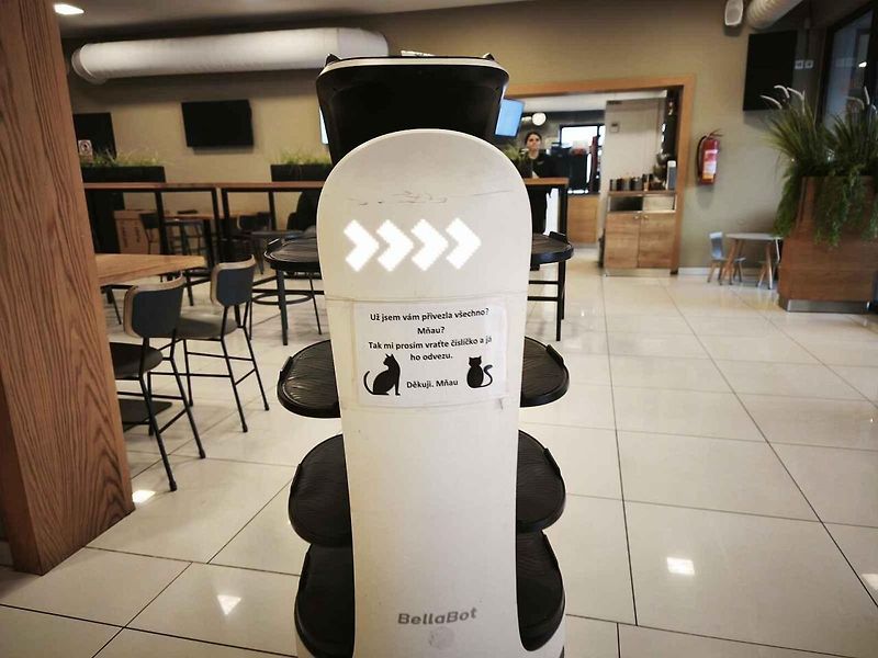 V Bistru Bonfood vládnou kočičí roboti.