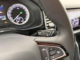 Škoda Kodiaq 2.0Tdi*110kw*4x4*CZ*Style* - náhled 25