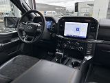 Ford F-150 TREMOR - náhled 22