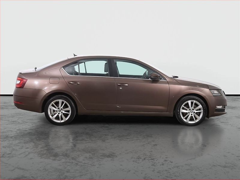 Škoda Octavia (2018) 2.0 TSI, Automat, Kůže, Navi - fotka 6 z 25