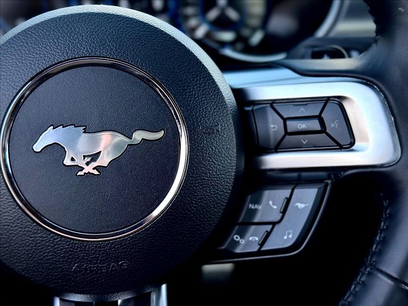 Ford Mustang 5,0 GT V8 330kW 55YearsEdition - fotka 20 z 36